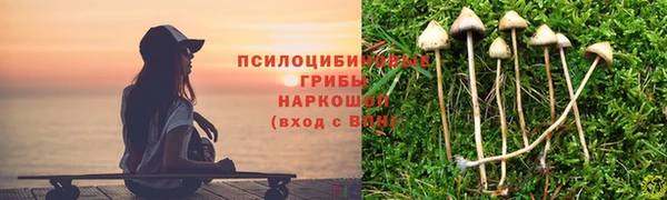 наркотики Богданович